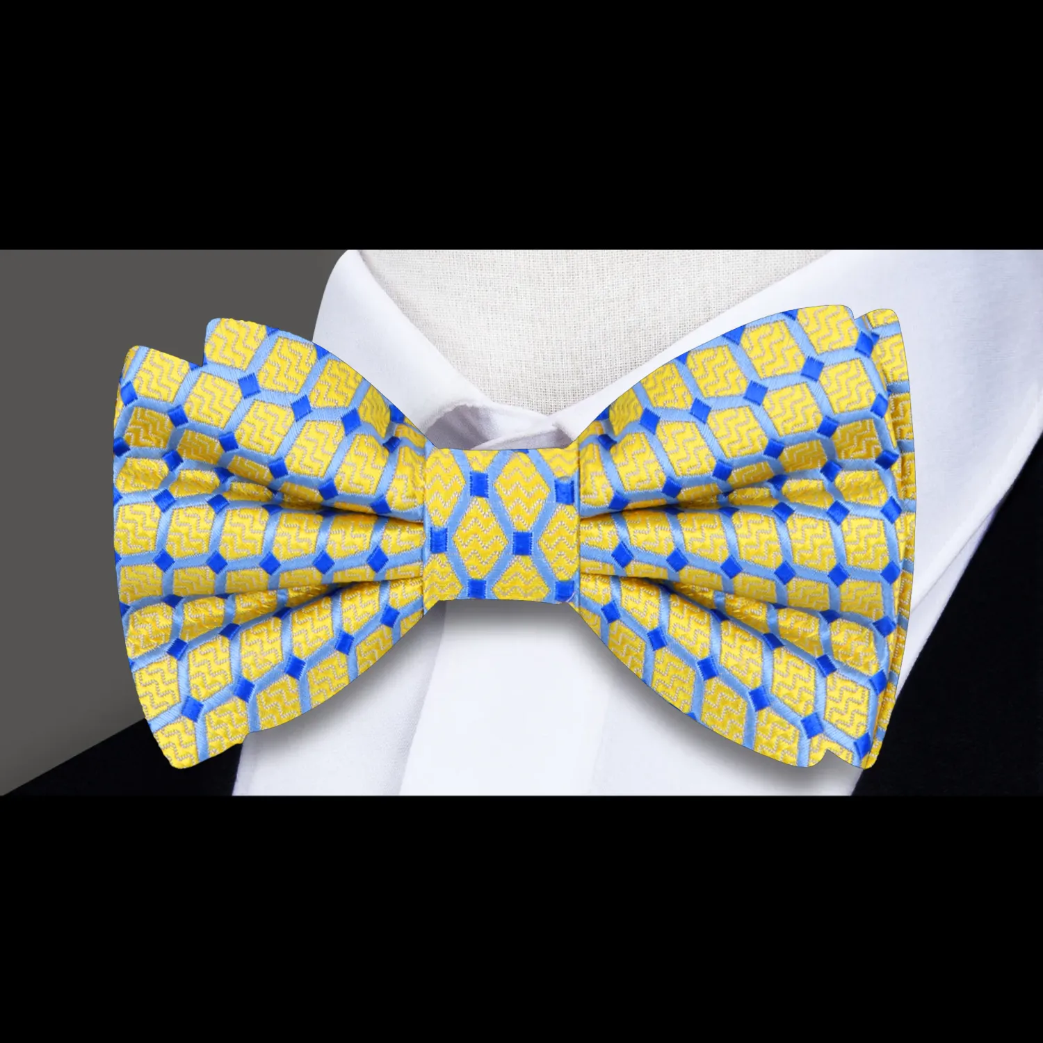 Aristotle Geometric Bow Tie