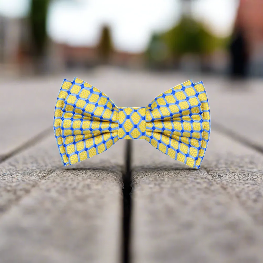 Aristotle Geometric Bow Tie
